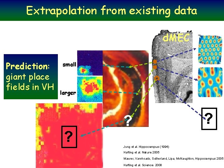 Extrapolation from existing data d. MEC Prediction: giant place fields in VH small larger