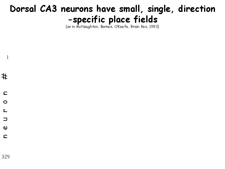 Dorsal CA 3 neurons have small, single, direction -specific place fields (as in Mc.