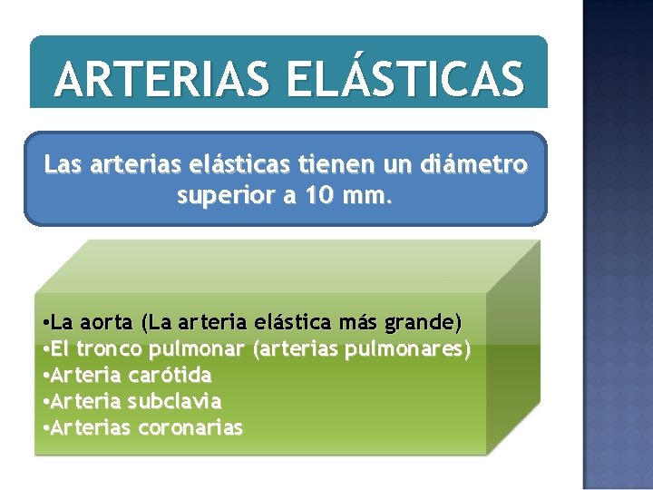 ARTERIAS ELÁSTICAS Las arterias elásticas tienen un diámetro superior a 10 mm. • La
