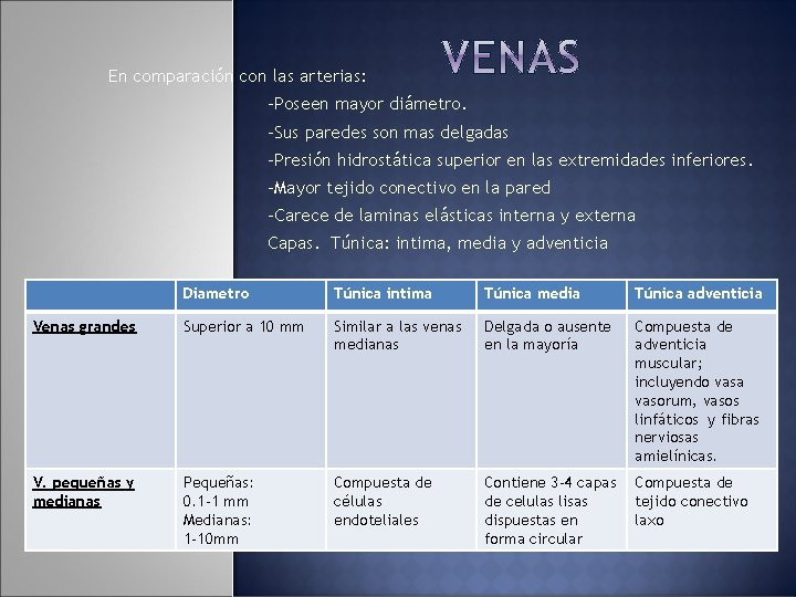 En comparación con las arterias: -Poseen mayor diámetro. -Sus paredes son mas delgadas -Presión