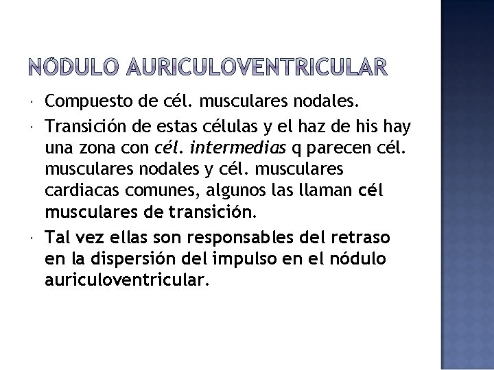  Compuesto de cél. musculares nodales. Transición de estas células y el haz de