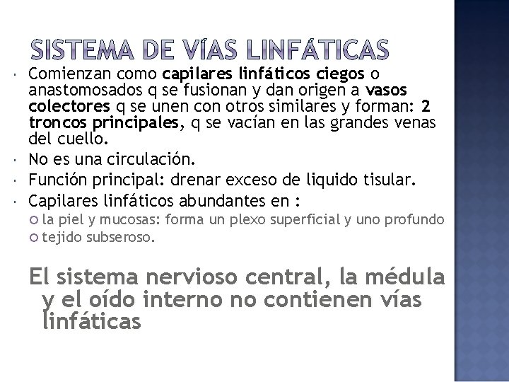  Comienzan como capilares linfáticos ciegos o anastomosados q se fusionan y dan origen