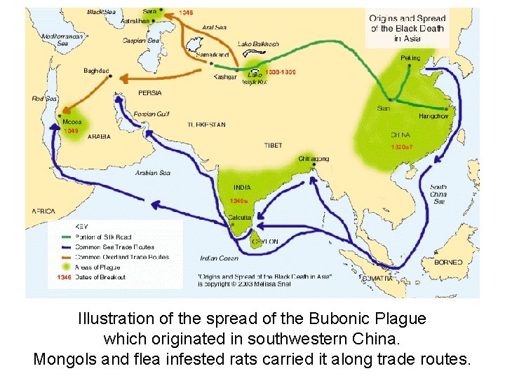 Illustration of the spread of the Bubonic Plague which originated in southwestern China. Mongols