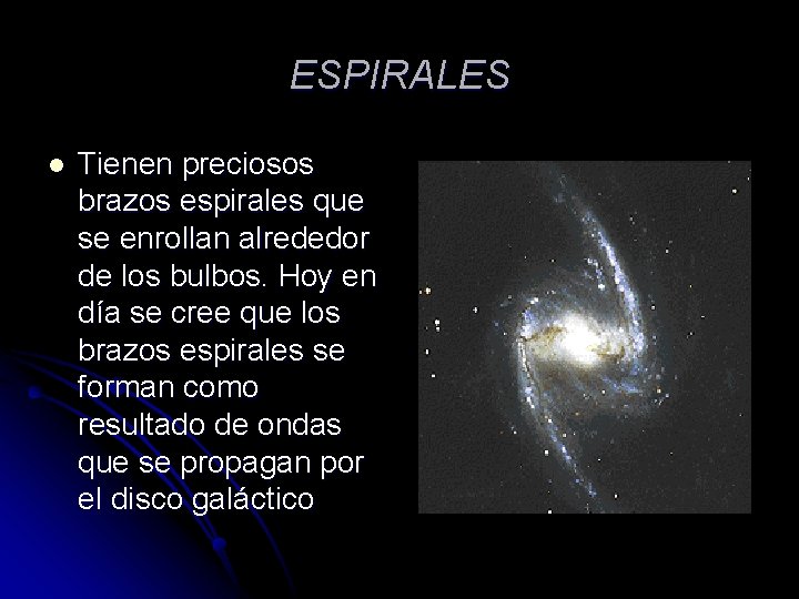ESPIRALES l Tienen preciosos brazos espirales que se enrollan alrededor de los bulbos. Hoy