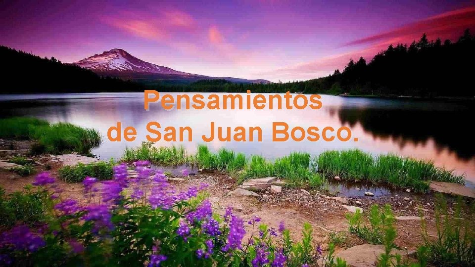 Pensamientos de San Juan Bosco. 