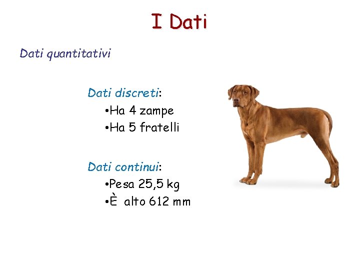 I Dati quantitativi Dati discreti: • Ha 4 zampe • Ha 5 fratelli Dati