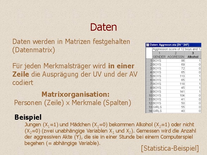 Daten werden in Matrizen festgehalten (Datenmatrix) Für jeden Merkmalsträger wird in einer Zeile die Daten werden in Matrizen festgehalten (Datenmatrix) Für jeden Merkmalsträger wird in einer Zeile die