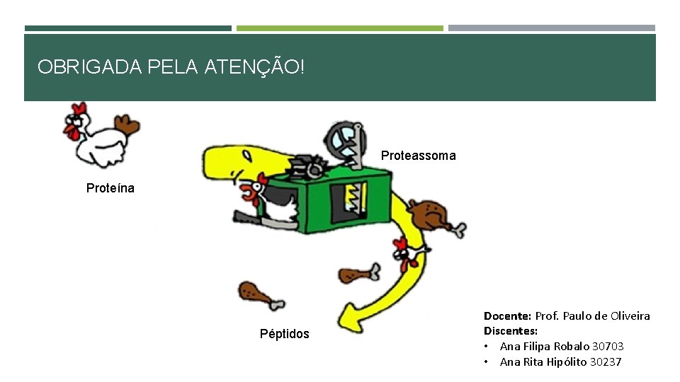 OBRIGADA PELA ATENÇÃO! Proteassoma Proteína Péptidos Docente: Prof. Paulo de Oliveira Discentes: • Ana