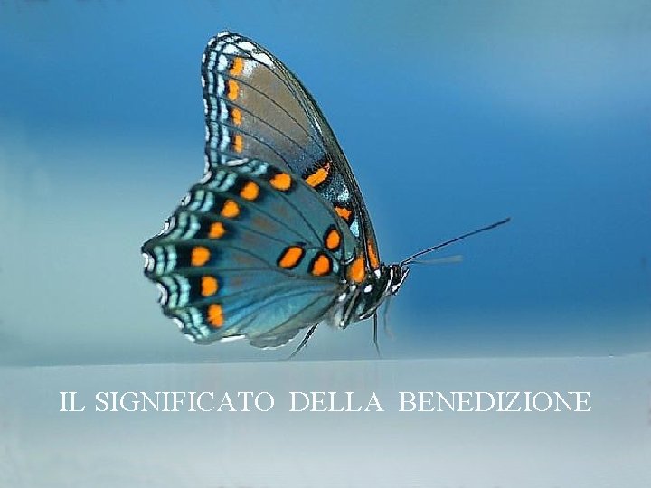 IL SIGNIFICATO DELLA BENEDIZIONE 