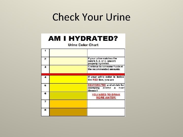 Check Your Urine 