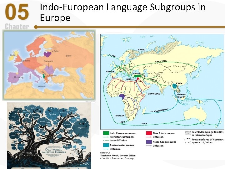 Indo-European Language Subgroups in Europe © 2017 Cengage Learning. All Rights Reserved. Indo-European Language Subgroups in Europe © 2017 Cengage Learning. All Rights Reserved.