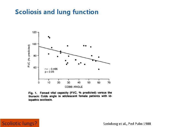 Scoliosis and lung function Scoliotic lungs? Szeinberg et al. , Ped Pulm 1988 