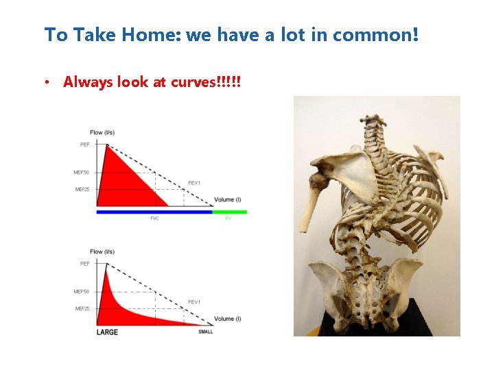 To Take Home: we have a lot in common! • Always look at curves!!!!!