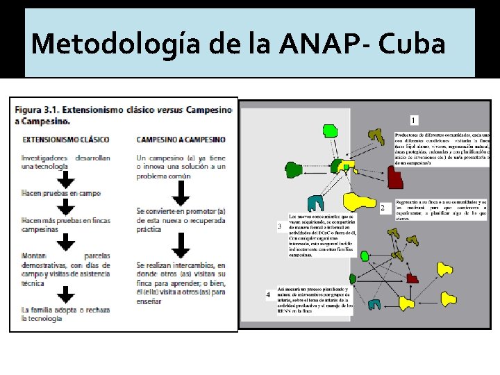 Metodología de la ANAP- Cuba 