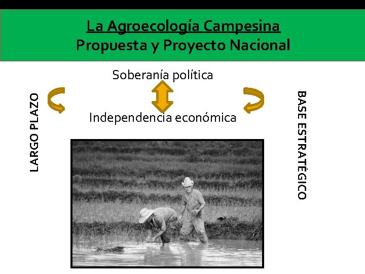 La Agroecología Campesina Propuesta y Proyecto Nacional Independencia económica BASE ESTRATÉGICO LARGO PLAZO Soberanía