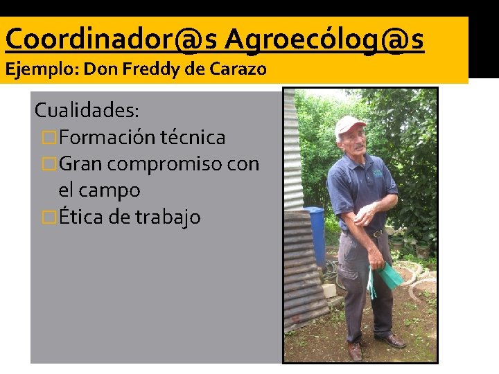 Coordinador@s Agroecólog@s Ejemplo: Don Freddy de Carazo Cualidades: �Formación técnica �Gran compromiso con el Coordinador@s Agroecólog@s Ejemplo: Don Freddy de Carazo Cualidades: �Formación técnica �Gran compromiso con el
