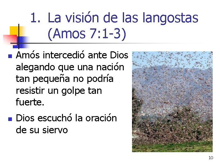 1. La visión de las langostas (Amos 7: 1 -3) n n Amós intercedió 1. La visión de las langostas (Amos 7: 1 -3) n n Amós intercedió