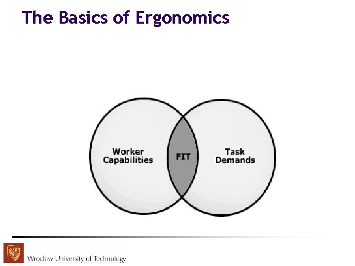 The Basics of Ergonomics 