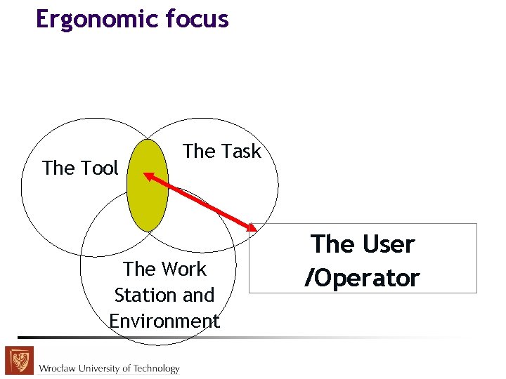Ergonomic focus The Tool The Task The Work Station and Environment The User /Operator