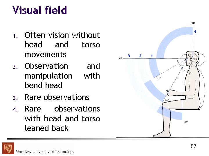 Visual field 1. 2. 3. 4. Often vision without head and torso movements Observation