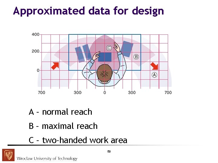 Approximated data for design A – normal reach B – maximal reach C –