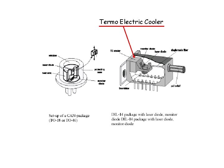 Termo Electric Cooler 