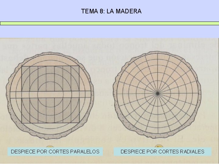 TEMA 8: LA MADERA DESPIECE POR CORTES PARALELOS DESPIECE POR CORTES RADIALES 