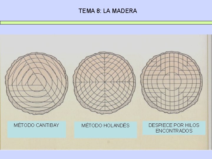 TEMA 8: LA MADERA MÉTODO CANTIBAY MÉTODO HOLANDÉS DESPIECE POR HILOS ENCONTRADOS 