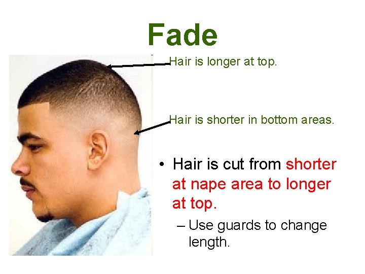 Fade Hair is longer at top. Hair is shorter in bottom areas. • Hair