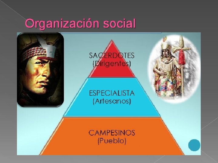 Organización social Organización social