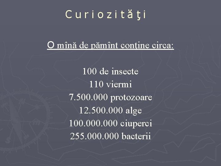 Curiozităţi O mînă de pămînt conţine circa: 100 de insecte 110 viermi 7. 500.