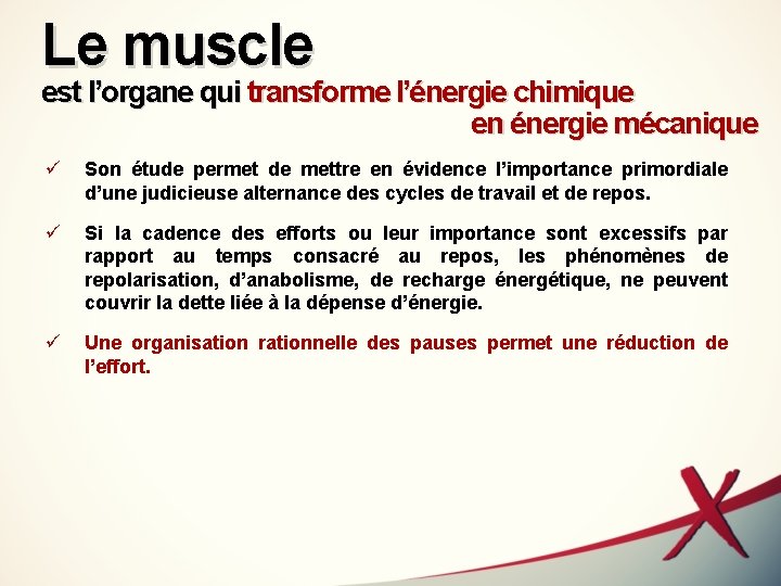 Le muscle est l’organe qui transforme l’énergie chimique en énergie mécanique ü Son étude