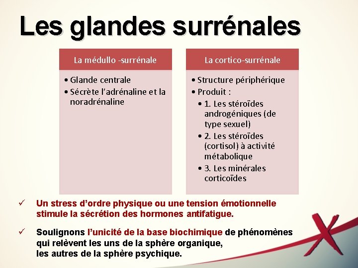 Les glandes surrénales La médullo -surrénale • Glande centrale • Sécrète l’adrénaline et la