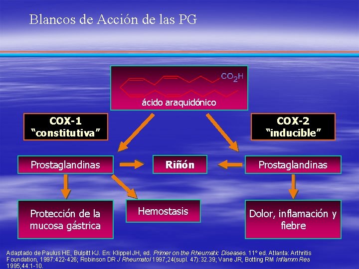 Blancos de Acción de las PG ácido araquidónico COX-1 “constitutiva” Prostaglandinas Protección de la