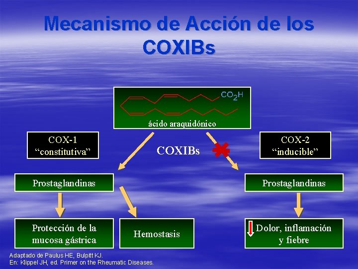 Mecanismo de Acción de los COXIBs ácido araquidónico COX-1 “constitutiva” COXIBs Prostaglandinas Protección de