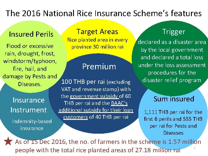 The 2016 National Rice Insurance Scheme’s features Insured Perils Target Areas Rice planted area