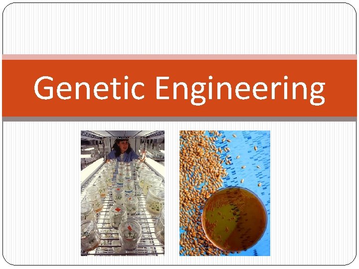 Genetic Engineering 