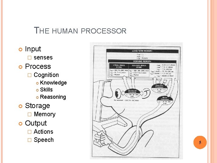 THE HUMAN PROCESSOR Input � senses Process � Cognition Knowledge Skills Reasoning Storage �