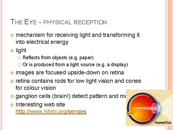 THE EYE - PHYSICAL RECEPTION mechanism for receiving light and transforming it into electrical