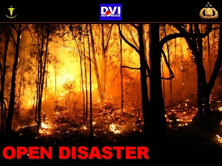 OPEN DISASTER OPEN DISASTER