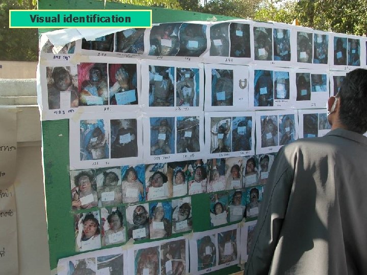 Visual identification Visual identification
