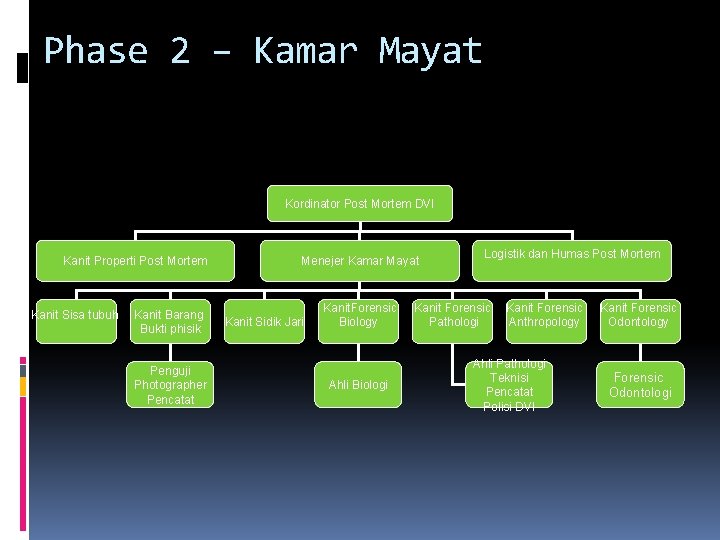 Phase 2 – Kamar Mayat Kordinator Post Mortem DVI Kanit Properti Post Mortem Kanit Phase 2 – Kamar Mayat Kordinator Post Mortem DVI Kanit Properti Post Mortem Kanit