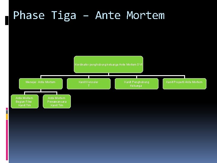 Phase Tiga – Ante Mortem Kordinator penghubung keluarga Ante Mortem DVI Menejer Ante Mortem Phase Tiga – Ante Mortem Kordinator penghubung keluarga Ante Mortem DVI Menejer Ante Mortem