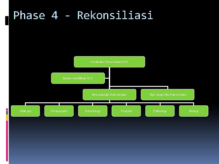 Phase 4 - Rekonsiliasi Kordinator Reconsiliasi DVI Badan identifikasi DVI Ahli spesialis Rekonsiliasi Sidik Phase 4 - Rekonsiliasi Kordinator Reconsiliasi DVI Badan identifikasi DVI Ahli spesialis Rekonsiliasi Sidik