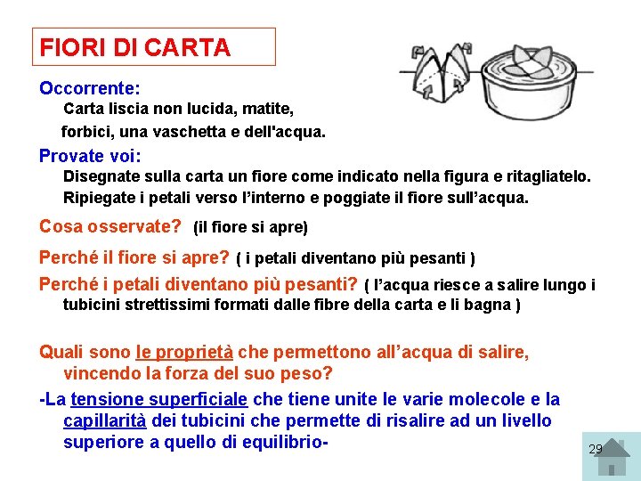 FIORI DI CARTA Occorrente: Carta liscia non lucida, matite, forbici, una vaschetta e dell'acqua.