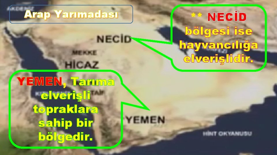 Arap Yarımadası YEMEN, Tarıma elverişli topraklara sahip bir bölgedir. ** NECİD bölgesi ise hayvancılığa