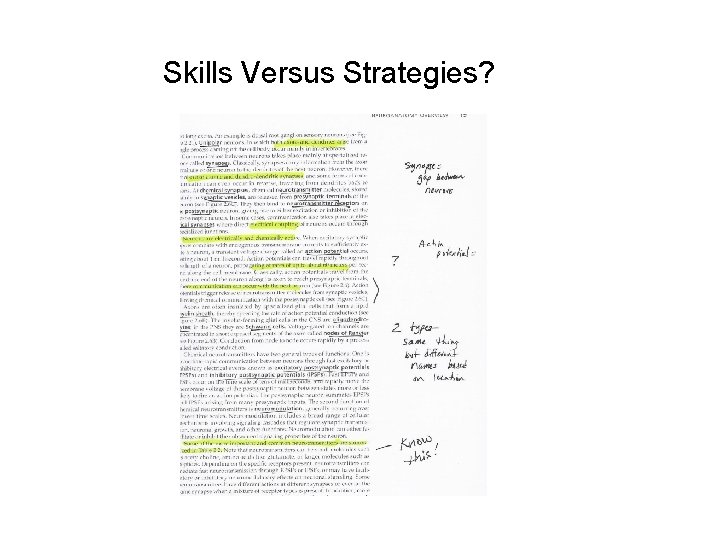Skills Versus Strategies? 