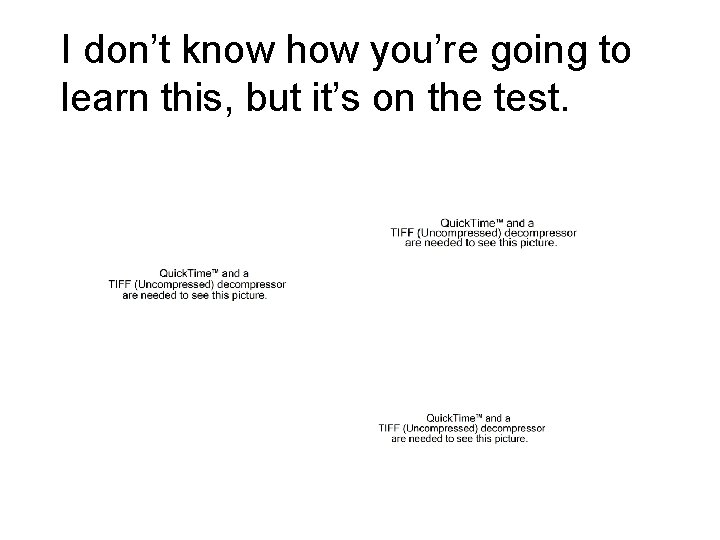 I don’t know how you’re going to learn this, but it’s on the test.