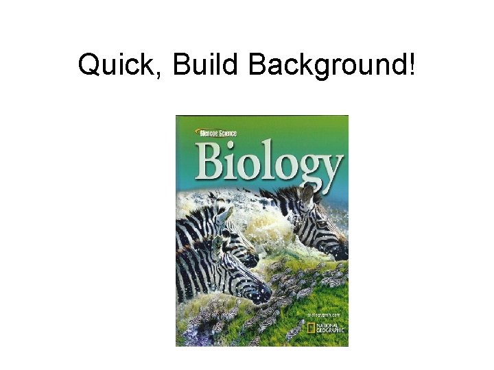 Quick, Build Background! 