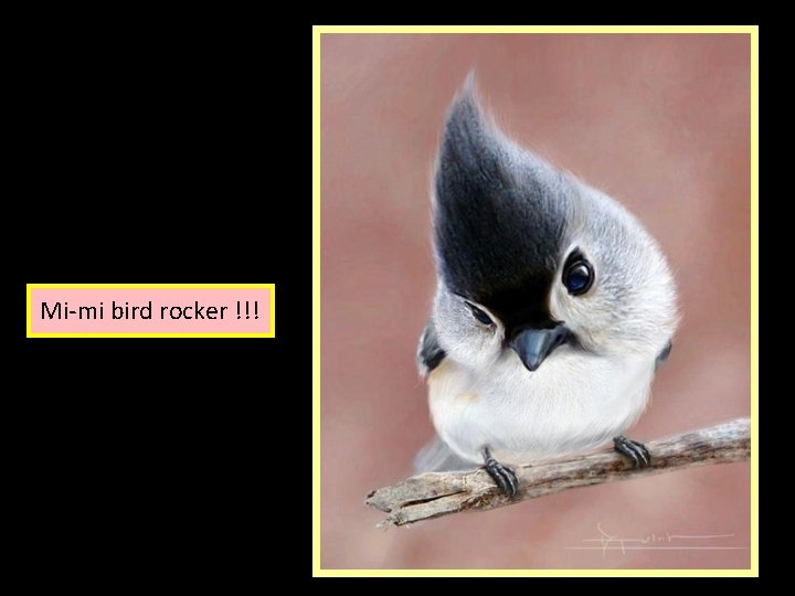 Mi-mi bird rocker !!! 